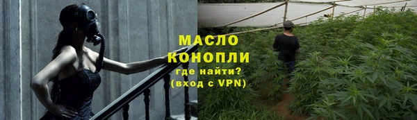 крисы Кулебаки
