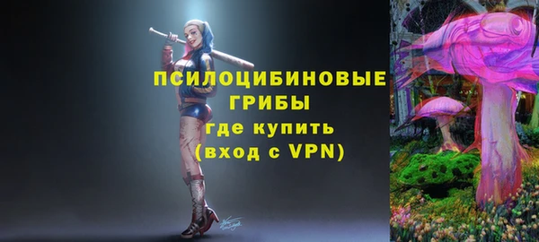 дмт Ладушкин