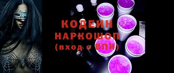 крисы Кулебаки