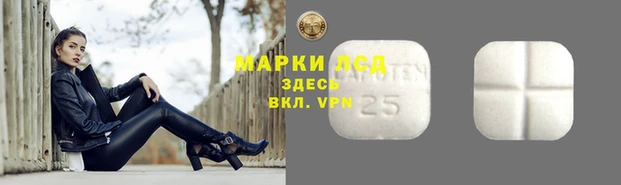 дмт Ладушкин