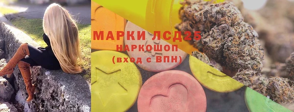 мдпв Лагань