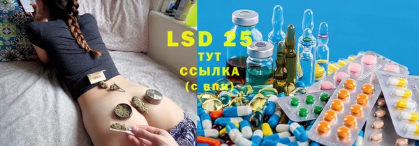 крисы Кулебаки