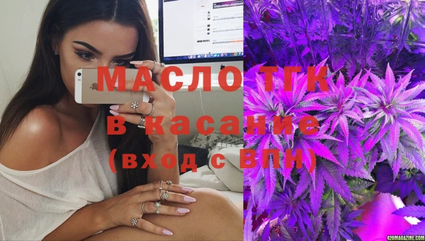крисы Кулебаки