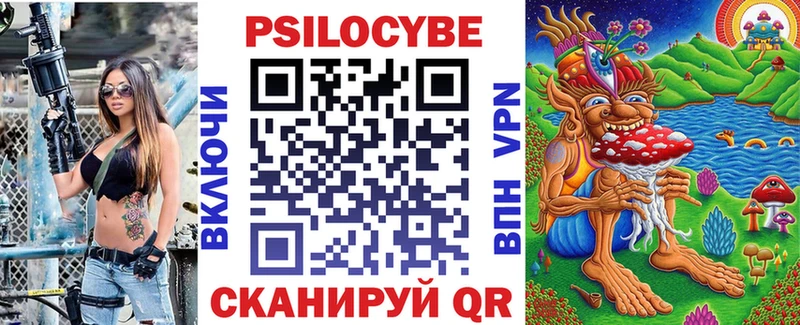 Купить закладки  Качканар  Псилоцибиновые грибы Psilocybe 