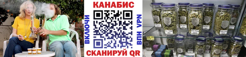 Купить  Качканар  Бошки Шишки семена 